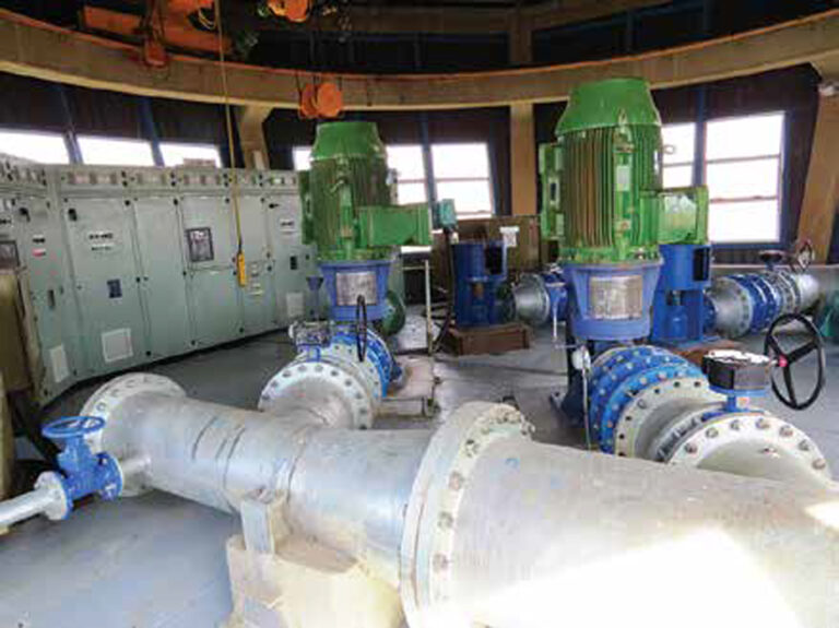 Raw Water Pumps